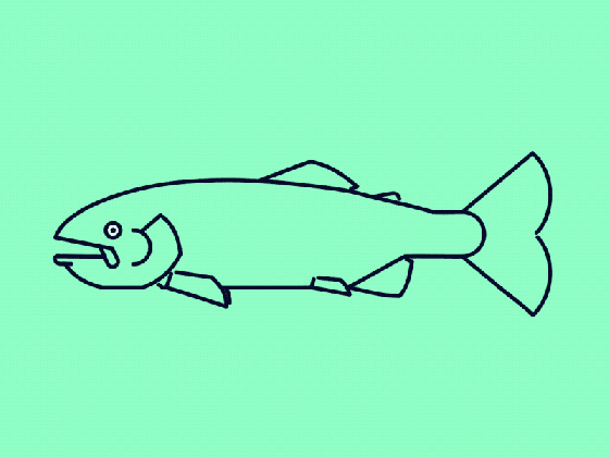 trout swimming by james hazael dribbble medium