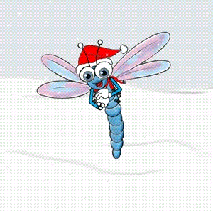 image dragonfly snowball gif austin ally wiki fandom powered medium