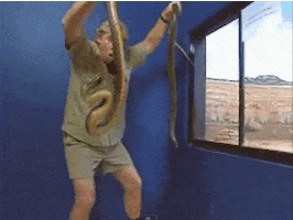 steve irwin gifs get the best gif on giphy medium