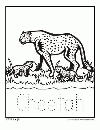 zoo animal coloring pages with letter writing practice medium