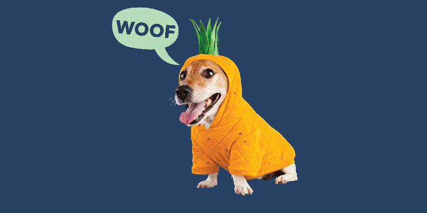 petco has officially launched their 2019 pet halloween costumes i want a that will be there for me medium