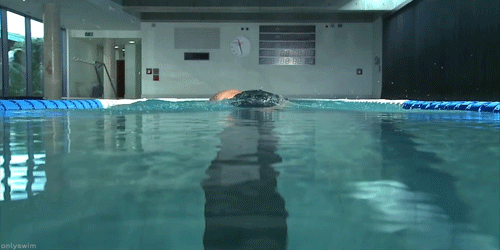 the swimmer gif tumblr medium