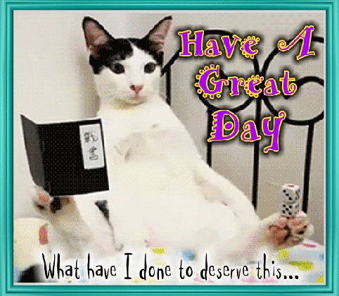 a funny great day ecard free have a great day ecards greeting medium