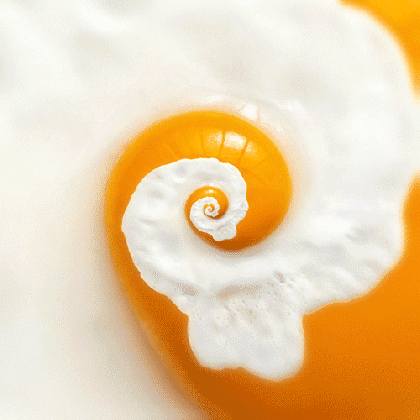 egg white gifs find share on giphy medium