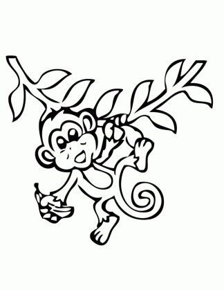 free monkey images download free clip art free clip art on clipart medium