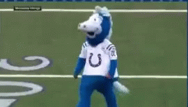 colts mascot gif colts indianapoliscolts discover share gifs medium