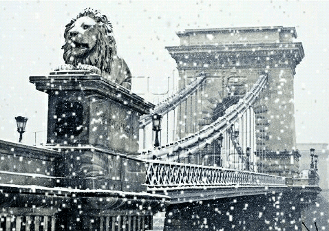 bridge gif snow hungary winter budapest snowfall drawsn medium
