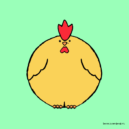chicken chick hen gif medium
