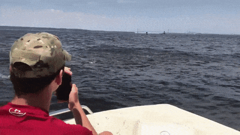 this whale breaching right next to a boat is like something out of medium