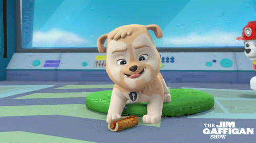 paw patrol gifs find share on giphy medium