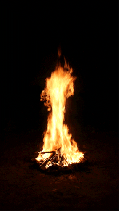 fire bonfire gif find share on giphy medium