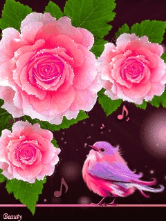 animated pink roses and little bird chirping cute flowers rose medium