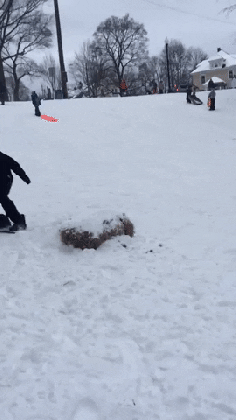 snowboarding fail gifs get the best gif on giphy medium