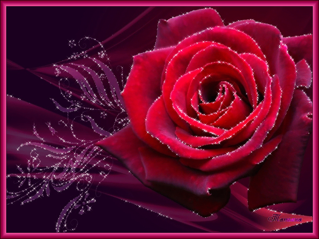 fonstola fon roza gif 1024 768 flores pinterest gifs and flowers medium