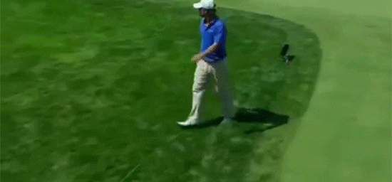 angry golf gifs get the best gif on giphy medium
