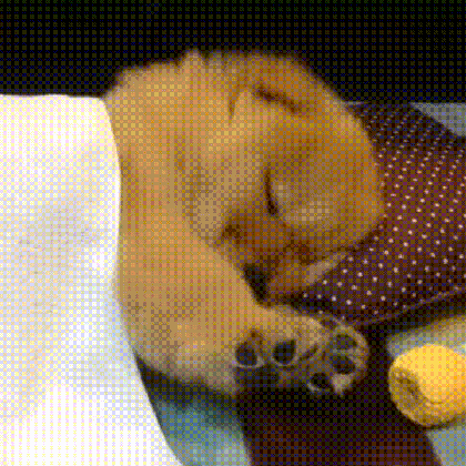 puppy tired sleepy gif on gifer by sakelv medium