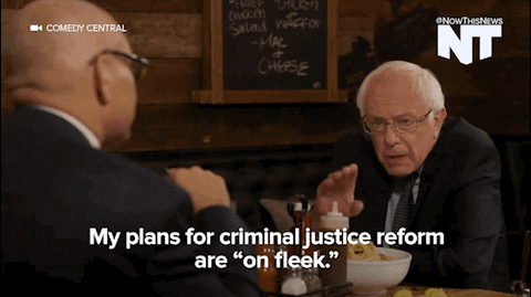 bernie sanders news gif by nowthis find share on giphy medium