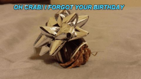 oh crab gifs get the best gif on giphy medium