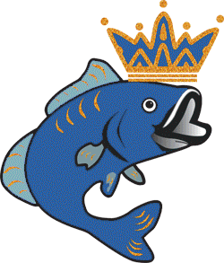 the king of fish contact us medium