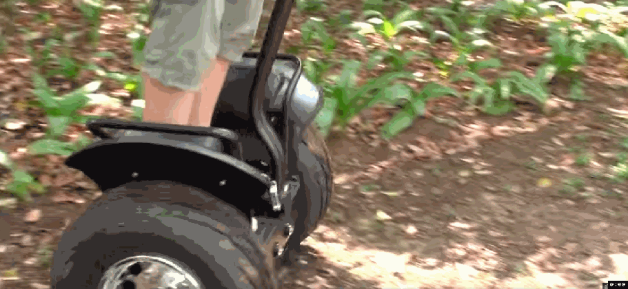 plant hoverboard gif shared by aurisius on gifer medium