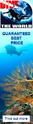 diving yonaguni monument japan underwaterclicks com medium