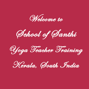 yoga teacher training india february 2014 school of santhi yoga medium