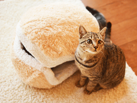 the adorable cat burger pillow from japan medium