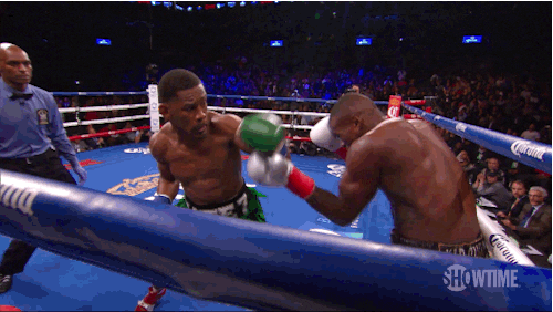daniel jacobs boxing gif by showtime sports find share medium