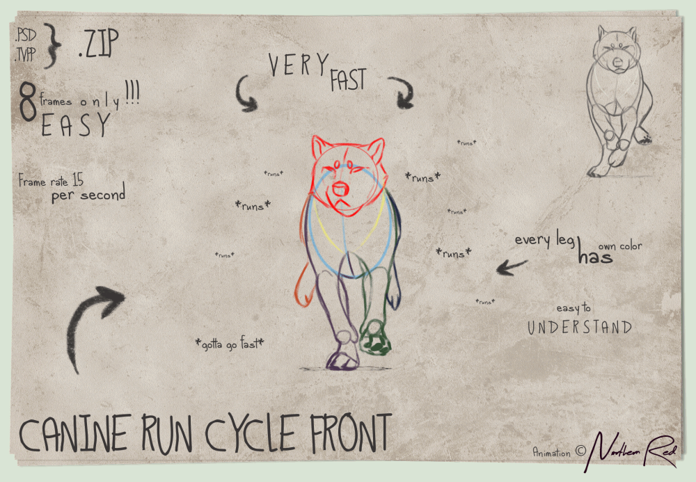 artwork gif canine run cycle front base by northernred art medium