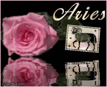 aries pink rose reflecting astrology sign glitter graphic greeting medium
