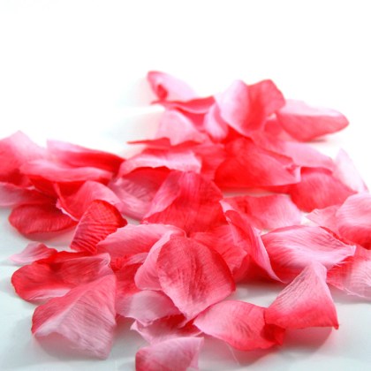 hot pink flower petals fuschia rose petals rose leaves freeze medium