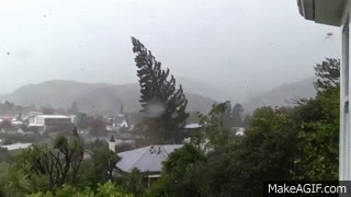 tree blown down on house from wind caught on camera on make a gif medium