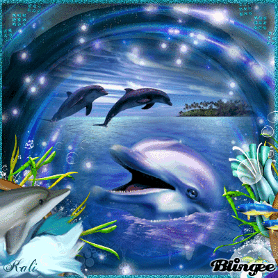 i 3 dolphins 3 dolphins pinterest orcas animal and creatures medium