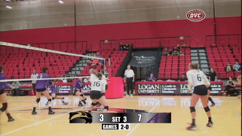 celebration volleyball gif by siue cougars find share on giphy medium