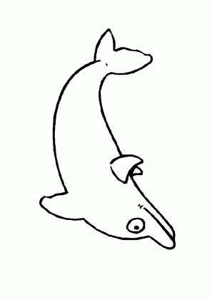 free free dolphin download free clip art free clip art on clipart medium