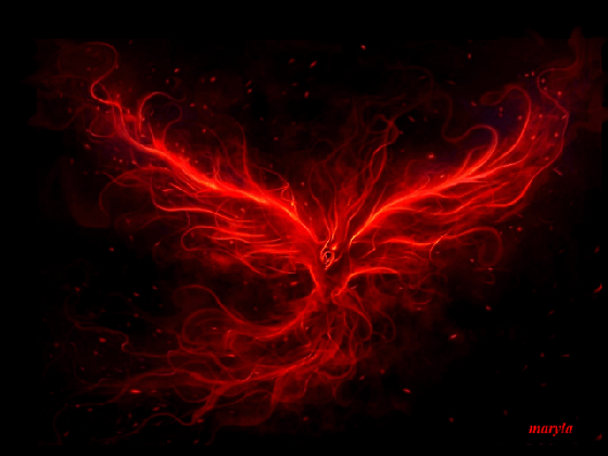 red fire gif www pixshark com images galleries with a medium