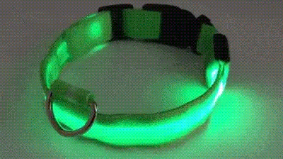 premium glow in the dark led dog safety collar trending vip medium