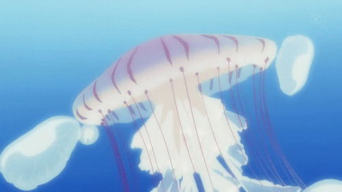 jellyfish gif some jellyfish can lay as many as eggs in a single medium