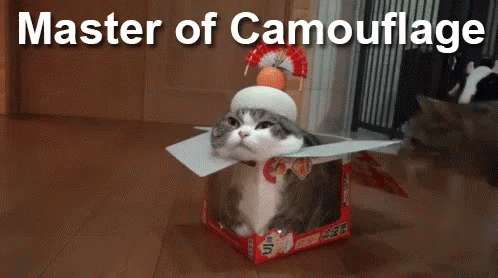 charming and witty cats masters of camouflage 17 photos medium