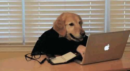 customer service dog computer gif on gifer by mashicage medium
