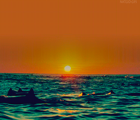 fantasy sunset gifs find share on giphy medium