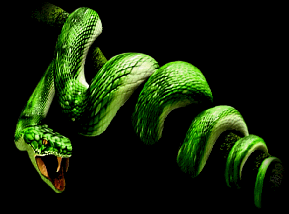 snake photo by newbeginnings2 animated gif 2372557 by medium