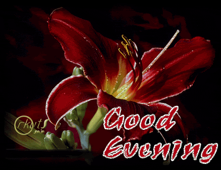 good evening gif by youramazing find share on giphy medium