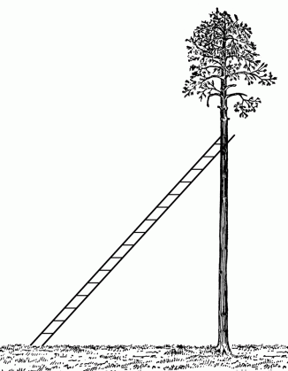 ladder leaning against a tree clipart etc medium