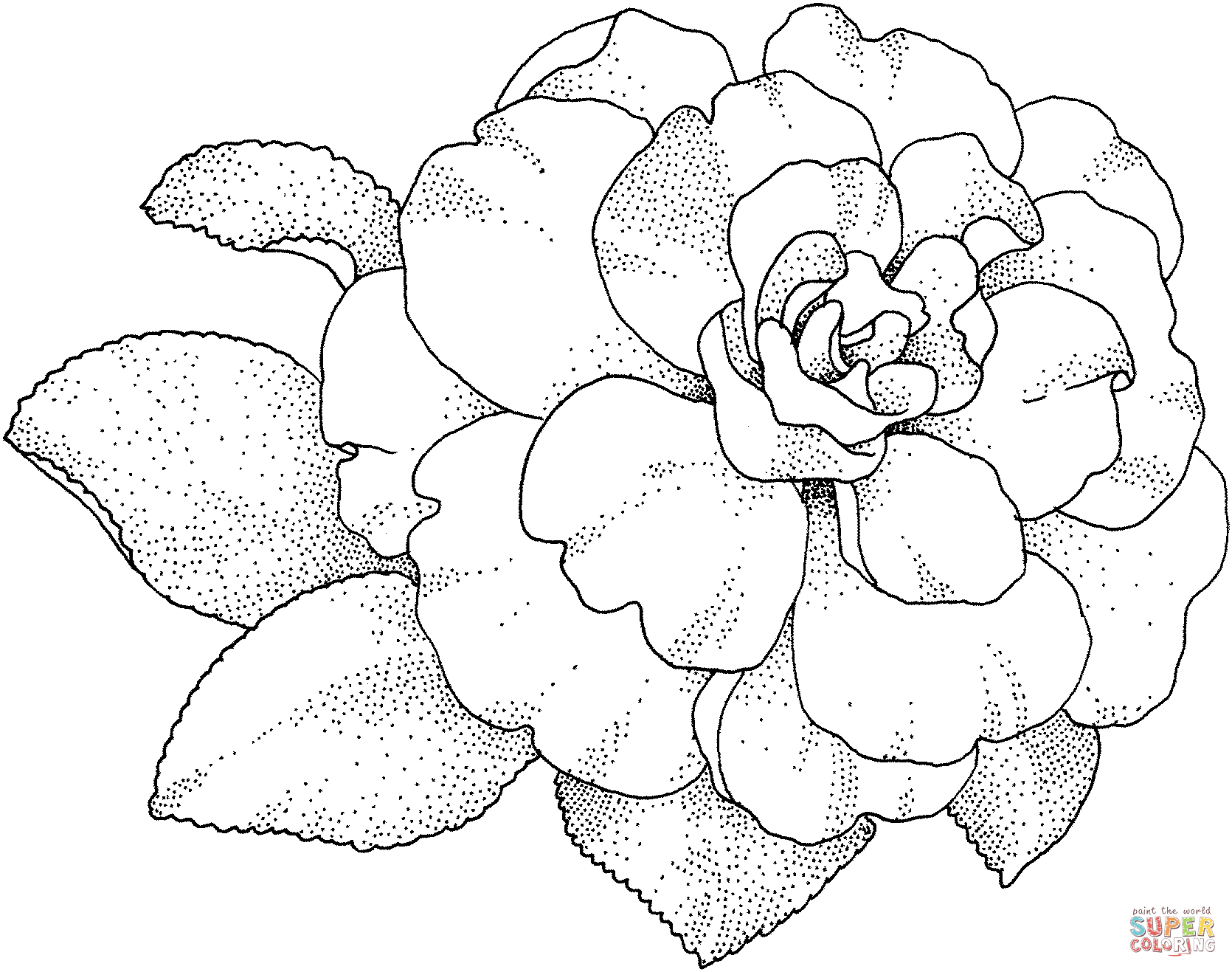 http coloringtoolkit com camellia blossom super coloring medium