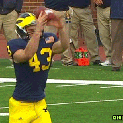 michigan suspends three including mortified punter for outback bowl land grant holy football flips medium