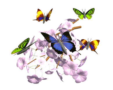 gifs animados mariposas parte 4 mariposas pinterest glitter medium
