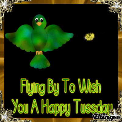 flying by to wish you a happy tuesday picture 97732420 blingee com medium