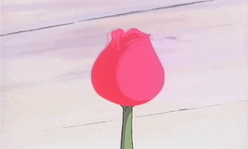 cute cartoon flower gif on gifer by kenis medium