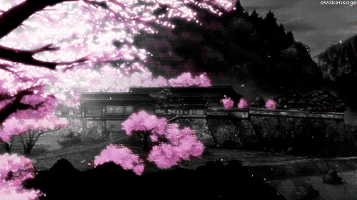 cherry blossom tree gif by lacilu22 photobucket medium